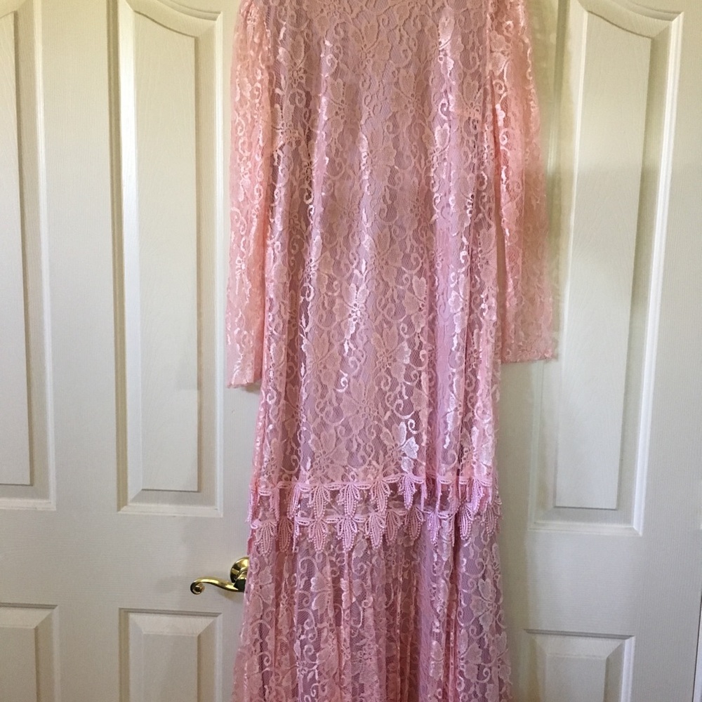 Mister Jay Pink formal lace dress. Sexy, feminine, lovely!